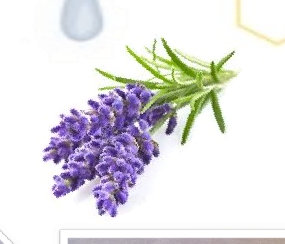 bee_hemp_ear_candles007002.jpg